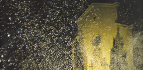 confettis - grandes quantités